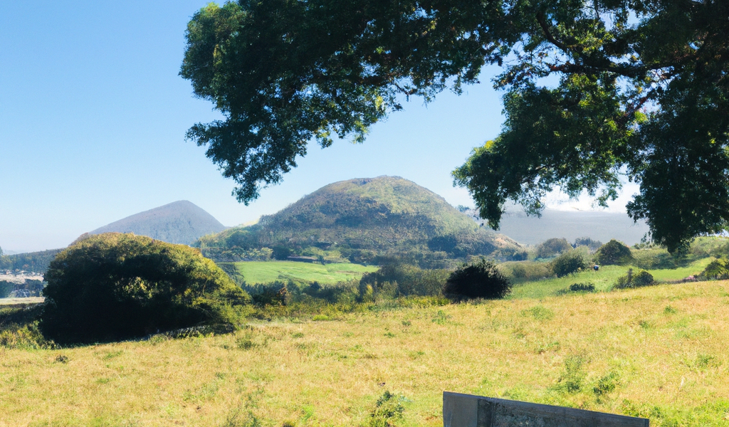 아름다운 여수 밤바다에서 즐길 수 있는 오피 - 여수 밤바다의 매력 속에서 즐기는 특별한 오피 경험