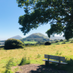 아름다운 여수 밤바다에서 즐길 수 있는 오피 - 여수 밤바다의 매력 속에서 즐기는 특별한 오피 경험