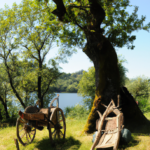 안산오피를 재밌게 즐기는 방법 - 안산오피를 재밌게 즐기는 스마트한 팁과 아이디어