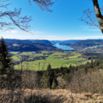 밤놀자 최신 정보 업데이트와 지역별 업체 흐름을 확인하는 방법 - 밤놀이 정보를 한눈에 파악하는 방법과 지역별 인기 업체 흐름 업데이트