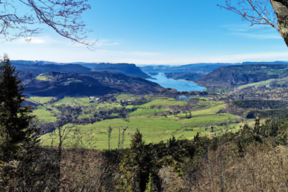 밤놀자 최신 정보 업데이트와 지역별 업체 흐름을 확인하는 방법 - 밤놀이 정보를 한눈에 파악하는 방법과 지역별 인기 업체 흐름 업데이트