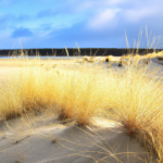 사랑가득한밤 추천 기준과 선택 과정에서 참고하는 판단 포인트 정리 - 사랑가득한밤 선택의 모든 것 - 추천 기준과 판단 포인트 정리하기